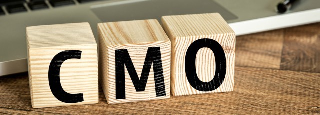 Chief Marketing Officer CMO Job Description Template Workable