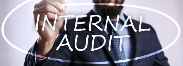 internal auditor job description