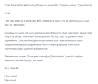 new employee announcement email template