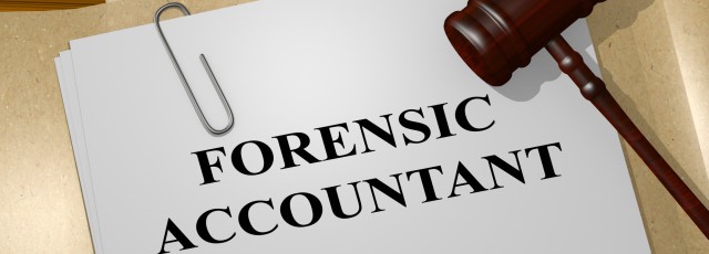 forensic accountant job description