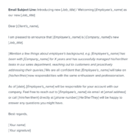 new employee introduction email to clients