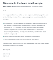 Welcome to the team email template