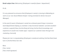 internal promotion announcement email template