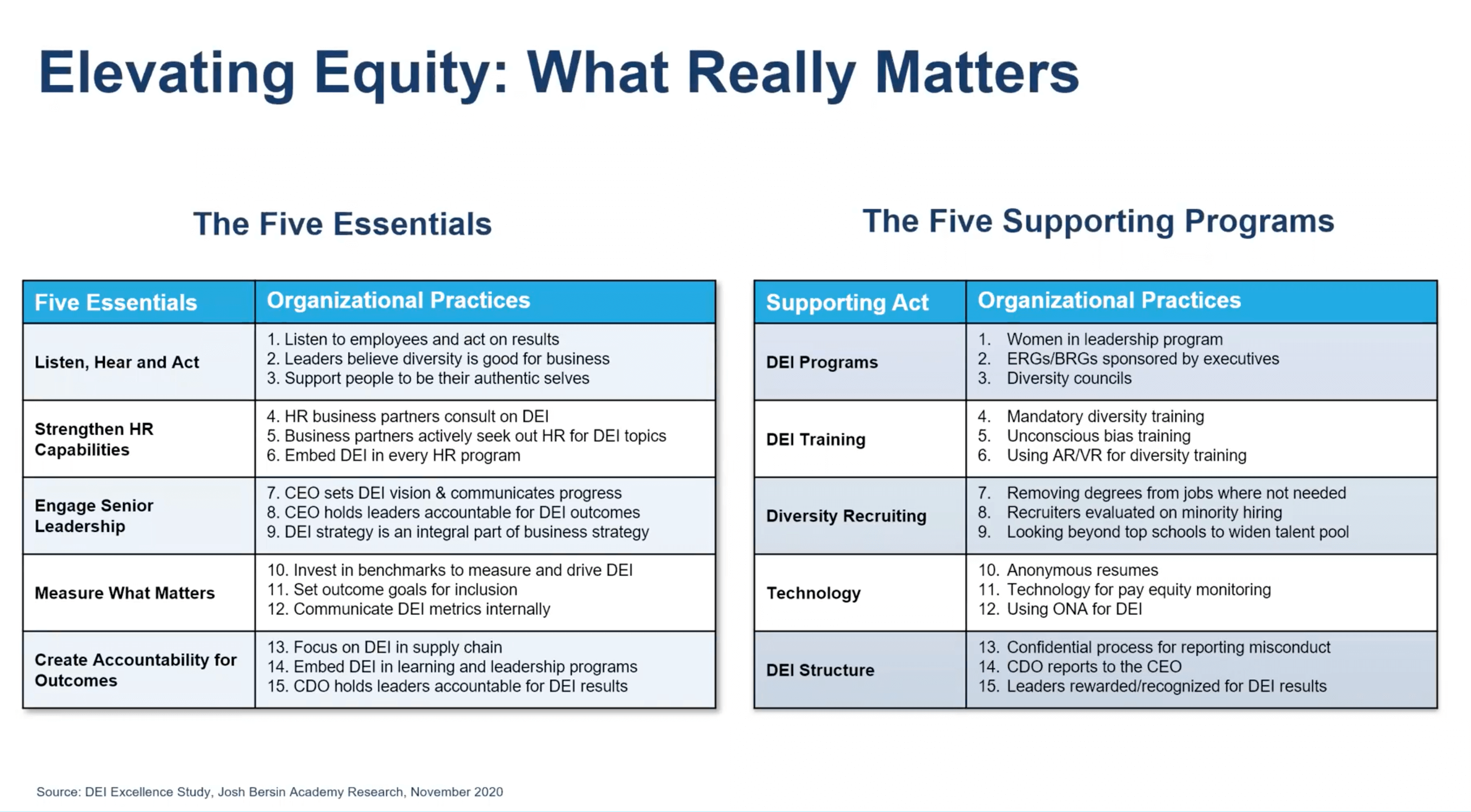 Josh Bersin - Elevating Equity: What really matters