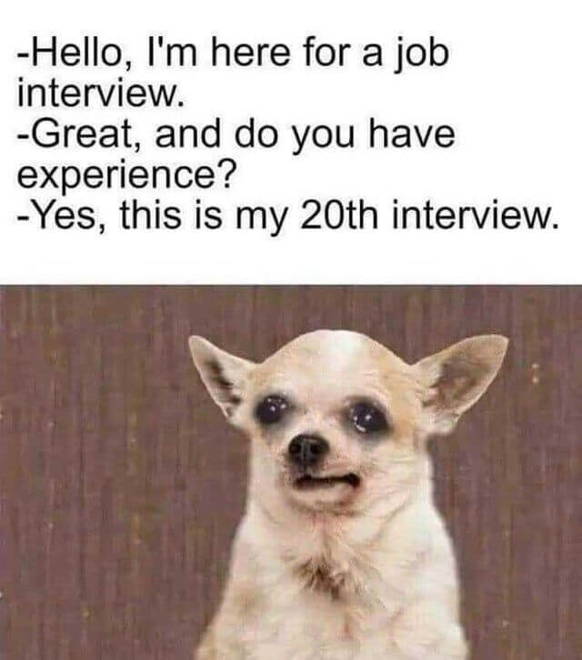 Bad Job Interview Meme