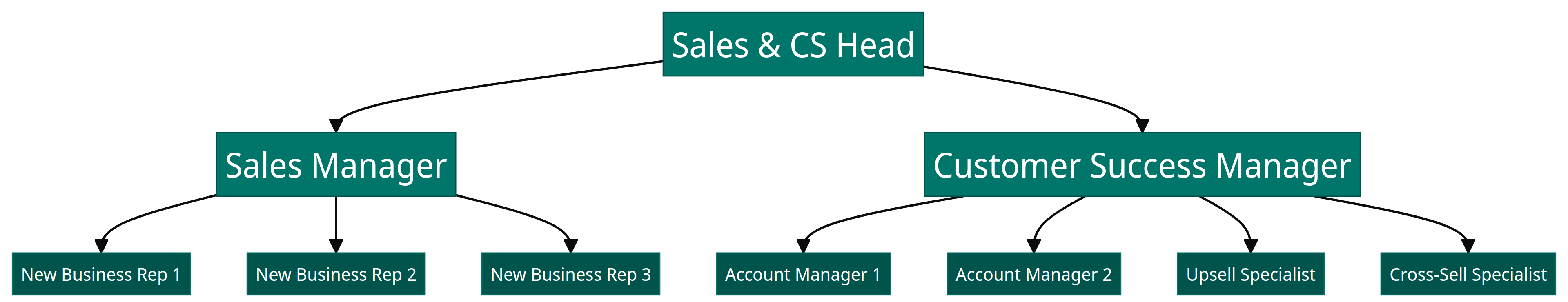 Customer success sales team structure